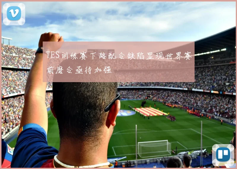 TES训练赛下路配合缺陷显现世界赛前磨合亟待加强